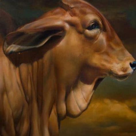 The brahman cattle are a medium to large breed of cattle of the zebu breeds. Brahma | Cow painting, Cow art, Animal paintings