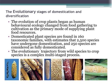 Evolution Of Crop Species Genetics Of Domestication And Diversification