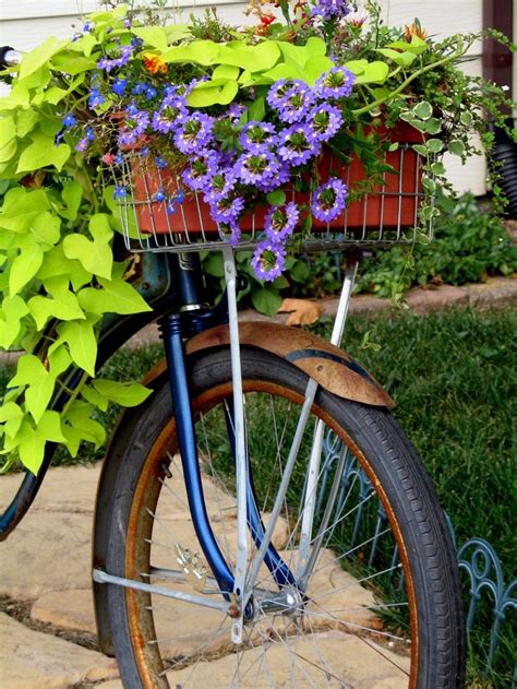 ♥¸ ♥ ¸♥ ¸ Bike Planter Bicycle Beautiful Bicycle