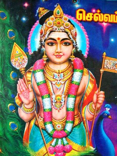 murugan - JungleKey.fr Image