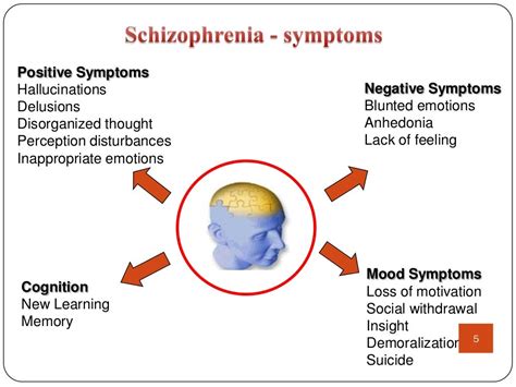 Pathophysiology Of Schizophrenia