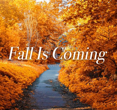 Fall Is Coming Pictures, Photos, and Images for Facebook, Tumblr ...