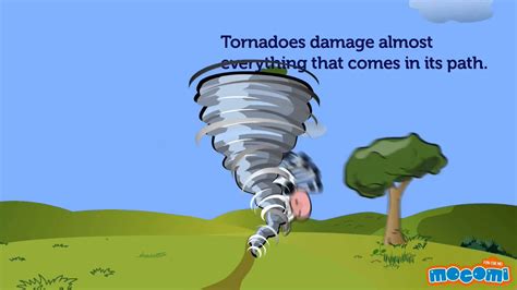 Infographic Tornado Facts Tornado Weather Science Wea