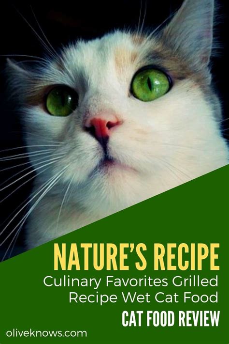 Purina friskies cat food complement lil' soups lil' grillers & lil' slurprises. Nature's Recipe Culinary Favorites Grilled Recipe Wet Cat ...