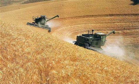 Identifica un essere, un oggetto o un concetto che assume genere femminile: Imparare con la Geografia: 20 L'agricoltura e i paesaggi ...