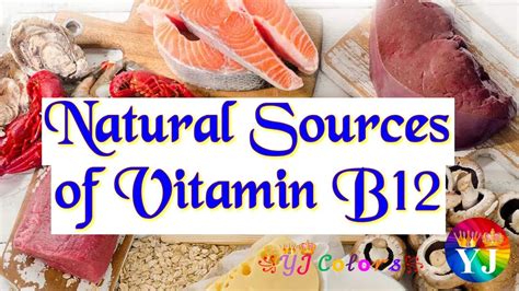 Vitamin B12 Natural Sources Of Vitamin B12 Rich In Vitamin B12