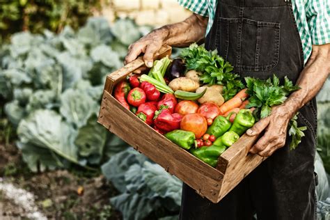 Organic And Local Produce Lakewinds Food Co Op