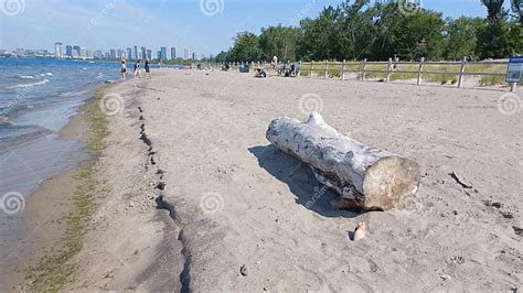 Hanlan S Point Nude Beach View On Toronto Islands Editorial Stock Image