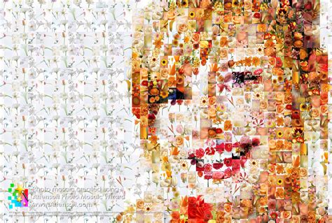 Make photo mosaic - eofilo