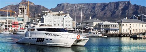 Cruisin The Fairest Cape Cape Town Cruise Options Tigger 2