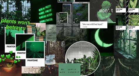 Dark Green Aesthetic Desktop Wallpapers Top Nh Ng H Nh Nh P