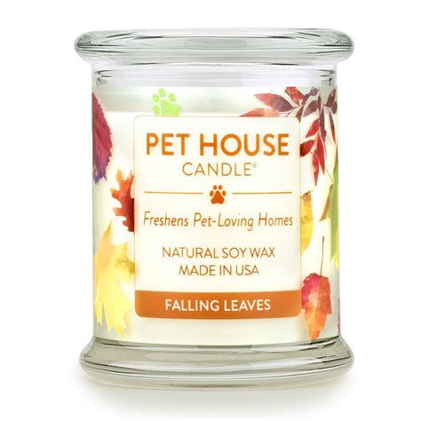 Candles canada quality canadian candles. Falling Leaves Pet House Candle: Pet Odor Candle 100% Soy ...