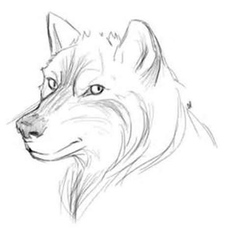 cute easy beginner drawings - Yahoo Image Search Results ... We can all agree that the more we draw, the better we'll get.