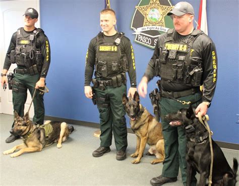 Pasco Sheriffs Office Adds Three K9 Patrol Teams News