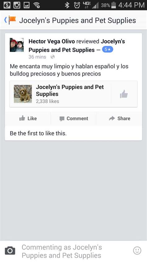 Testimonials Jocelyns Puppies Pets And Supplies