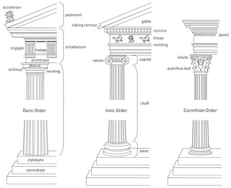 318 Diagram Of The Classical Architectural Orders Differentiating Between The Doric Ionic