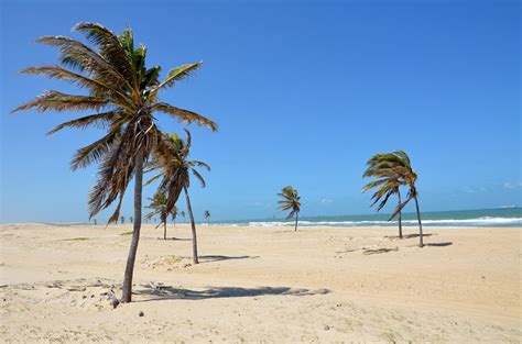 Guide to state of ceara family history and genealogy: Fortaleza, Ceará | Ceara, Fortaleza