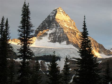 Sunset On The North Face Of Mt Assiniboine Trees Snow National Park
