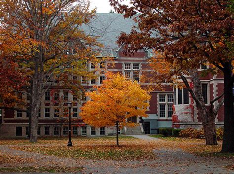 Bowdoin College Campus In The Fall Photograph By David Whiteside Fine