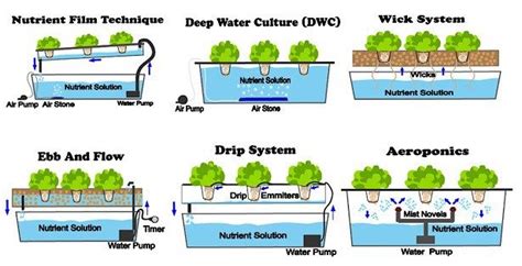 6 Different Types Of Hydroponic Systems Nosoilsolutions Aquaponics