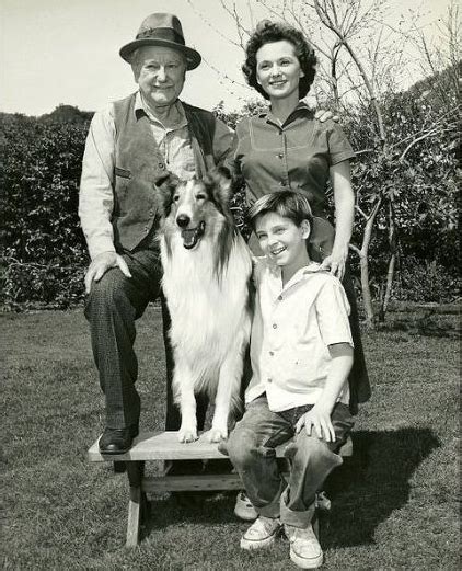 Lassie 1954 Doblaje Chileno Propuestas De Fans Del Doblaje Fandom
