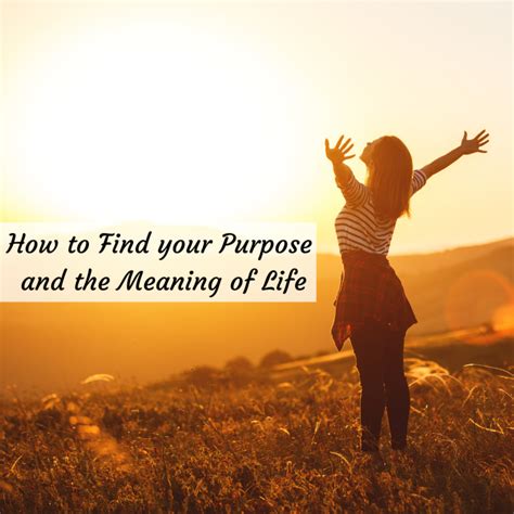 Find Your Purpose And The Meaning Of Life Vanessa Bolet