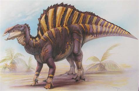 It carried a much longer snout than its relative iguanodon; Universo Animal: ouranosaurus