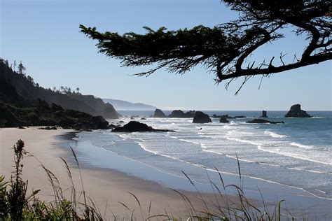 The Ultimate Guide To The Top 13 Oregon Coast Hikes In