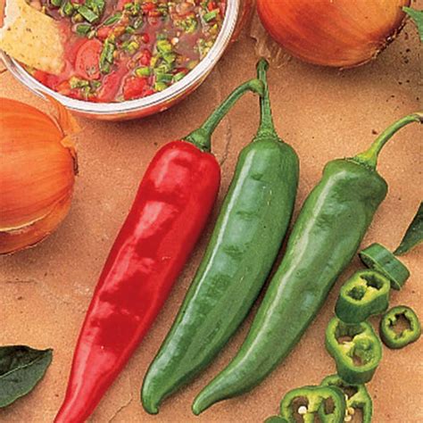 Pepper Hot Garden Salsa Hybrid Pots Totally Tomatoes