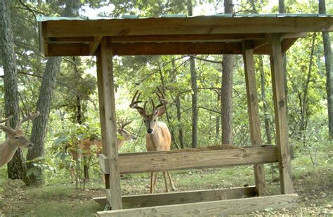 Summer Project Idea Diy Deer Feeder Deer Feeder Plans Homemade Deer