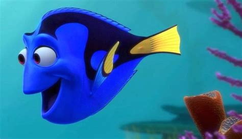 Not Finding Dory 6 Reasons Not To Buy A Blue Tang Fish