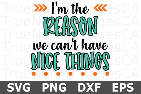 Im The Reason We Cant Have Nice Things A Kids Svg File 259121