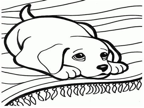 You can download and print them instantly from your computer. Realistic puppy coloring pages download and print for free