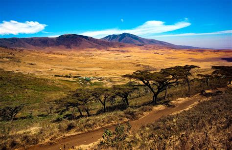 Safari Arusha Tarangire Serengeti Krater Ngorongoro 4challenge
