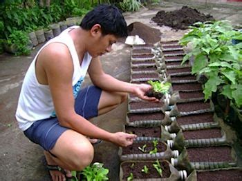 Backyard Urban Gardening In The Philippines - Urban Style Design