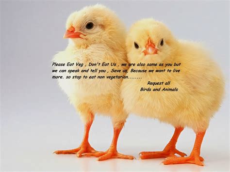 Make Vegetarian and Save Life of Birds and Animals ~ JPS FITNESS TIPS