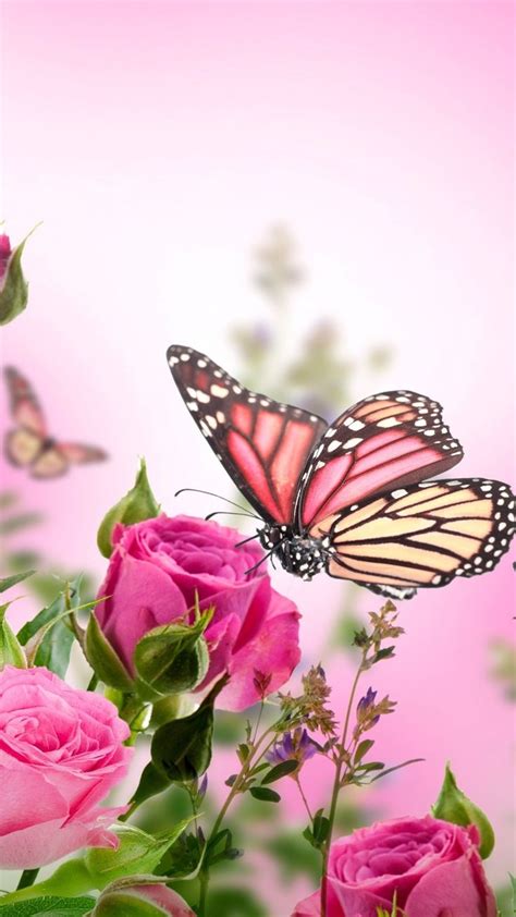 Pink Butterfly Iphone Wallpaper Mywallpapers Site In