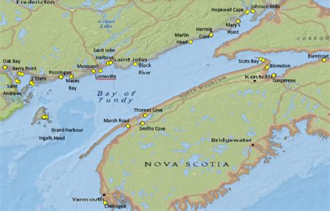 Bay Of Fundy Map Nature NB