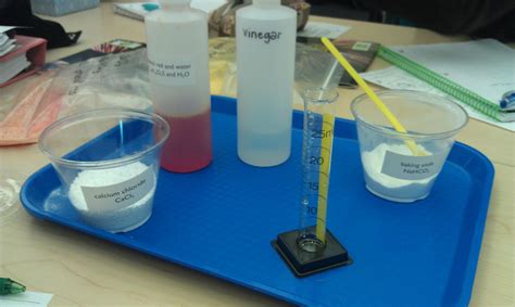 Michelle's Science Blog: Chemical Reactions!