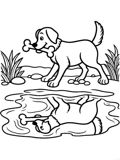 The Dog And Its Reflection · Aesops Fable · Preschool Printable