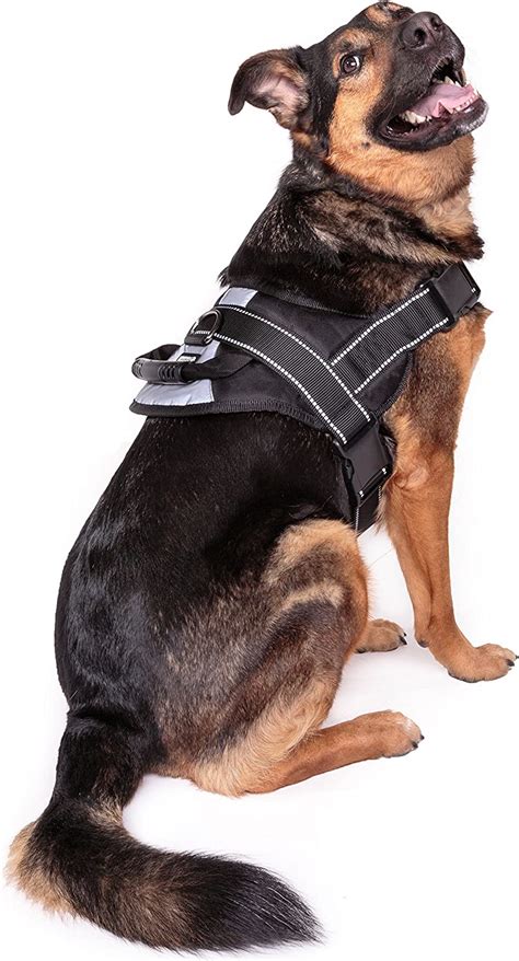 Friends Forever No Pull Dog Harness Large Breed Training Harnesses