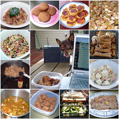 2 Healthy Homemade Dog Food Recipes Pethelpful