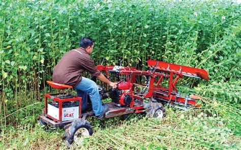Enam belas peratus daripada penduduk malaysia bekerja melalui sejenis pertanian. Peranan jurutera pertanian | Harian Metro