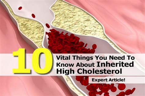 10 vital things you need to know about inherited high cholesterol