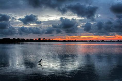 The Solitary Fisherman Florida Sunset Photograph By Hh Photography Of
