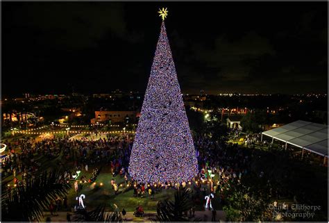 Maybe you would like to learn more about one of these? Top Palm Beach Holiday Photo Spots - Married in Palm Beach