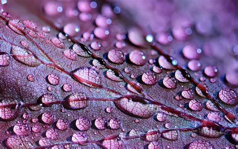 If we see the molecule of water and how they act, we would notice that each water molecule attracts its neighbors. Battling glue Takes Science | Susan Berk Koch