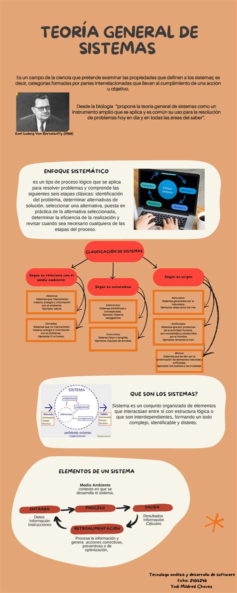 Infografía Teoría General De Sistemas Según Su Relaciona Con