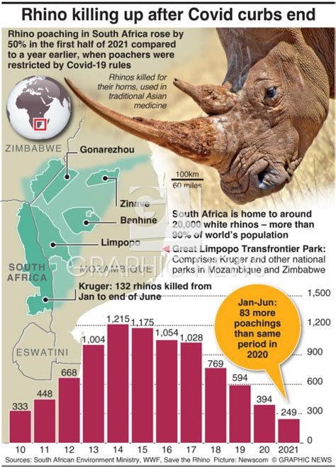 Environment Rhino Poaching Up In South Africa Infographic
