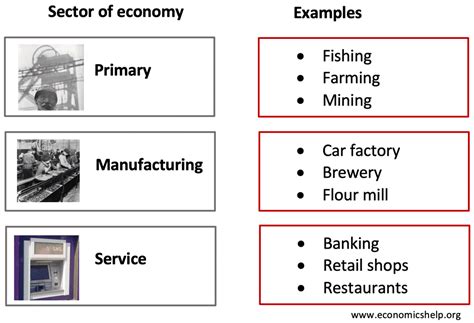 Tertiary economic activities are the service industry.trade is tertiary activity in which transportation is very important via air route,land route. The stages of economic activity - BusinessStudiesBro
